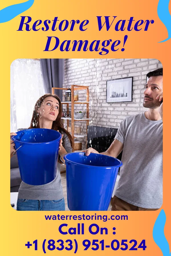 water restoration Silver Damage Recovery LLC Trego
